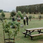 Bay of Plenty: Matahui Distillery Tour - The Practicalities: What You Need to Know
