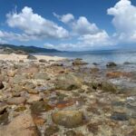 Bay Rock Tour Townsville - The Sum Up