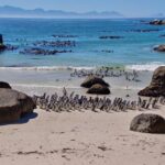 Beach Day at Boulder's Beach & Penguin watching, Half Day - Summary: Who Is This Tour Best For?
