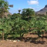 Beaches, Villages and Monte Verde (excludes city) - Why This Tour Offers Great Value