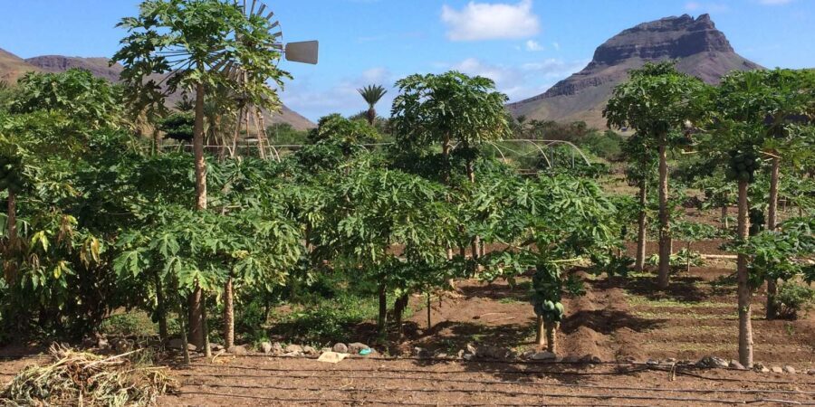Beaches, Villages and Monte Verde (excludes city) - Why This Tour Offers Great Value
