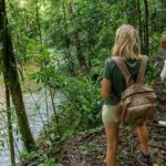 Beautiful Daintree Waterfall Walk, Magical Swim & Heavenly Lunch - Transportation and Group Size: Why It Matters