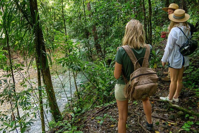 Beautiful Daintree Waterfall Walk, Magical Swim & Heavenly Lunch - Transportation and Group Size: Why It Matters