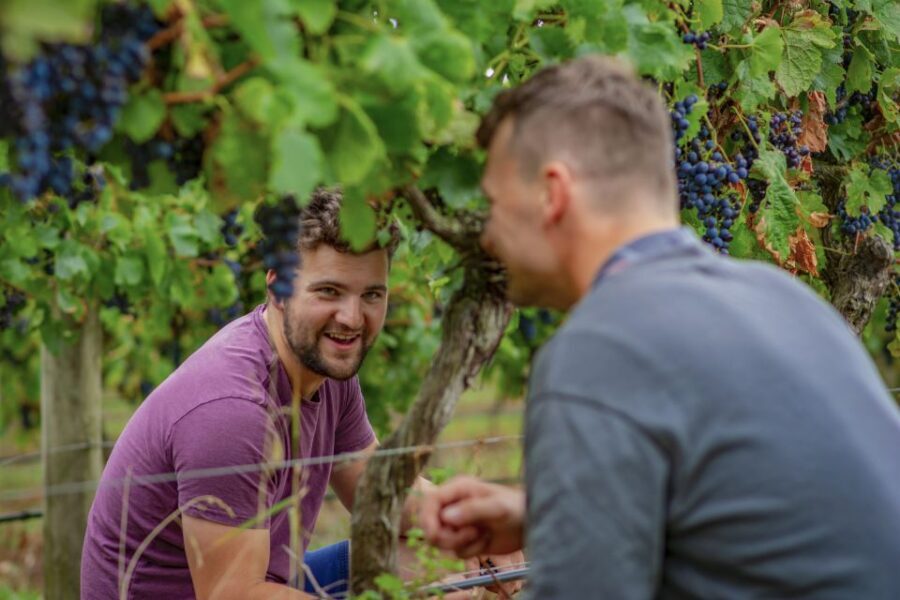 Bellarine Winery: Texas BBQ Platter Lunch with Wine - Exploring Bellarine Winery: What to Expect