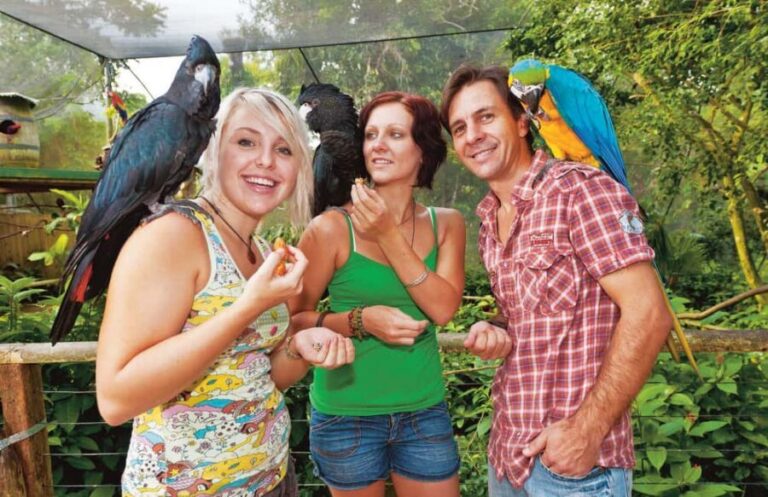 Bespoke Birdworld - An Intimate Experience! - Why Choose This Tour?