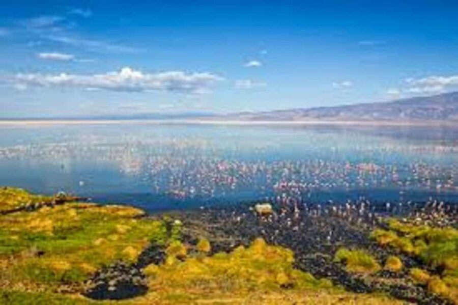 #Best 2-Day Lake Natron With OI Doinyo Lengai Hiking Tour - The Value of the Experience