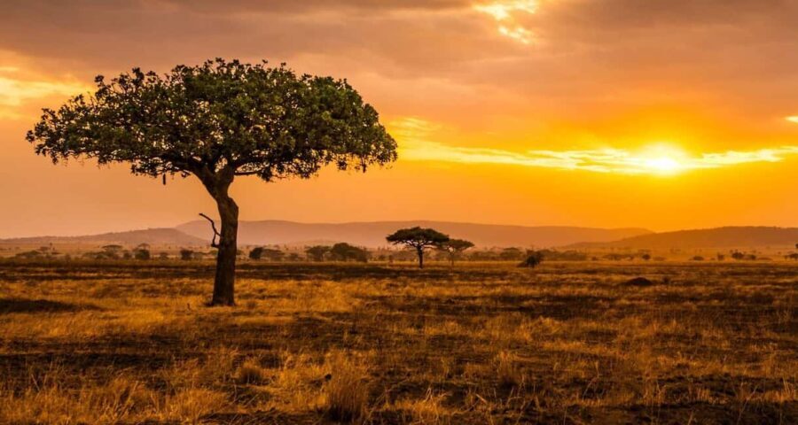 Best 3-Day Christmas Eve Safari to Tarangire and Serengeti - What’s Included and What’s Not