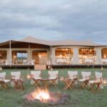 Best 8 Days Serengeti Great Migration, Tanzania Safari Tours - What the Tour Gets Right