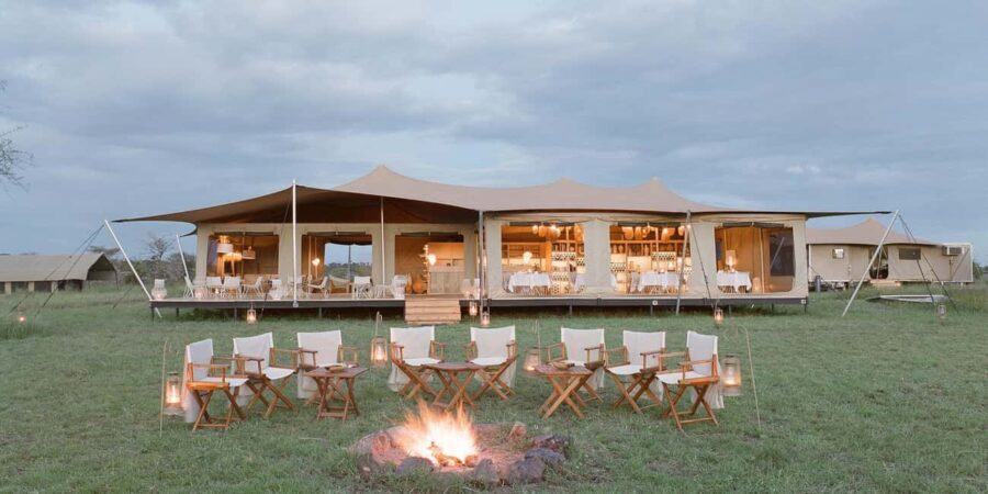 Best 8 Days Serengeti Great Migration, Tanzania Safari Tours - What the Tour Gets Right