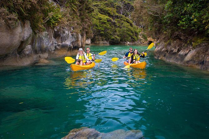 Best Abel Tasman Day trip - Who Will Love This Tour?
