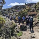 Best Kilimanjaro Day Hike With Car Shira Plateau experience - Pricing, Inclusions, and Additional Costs