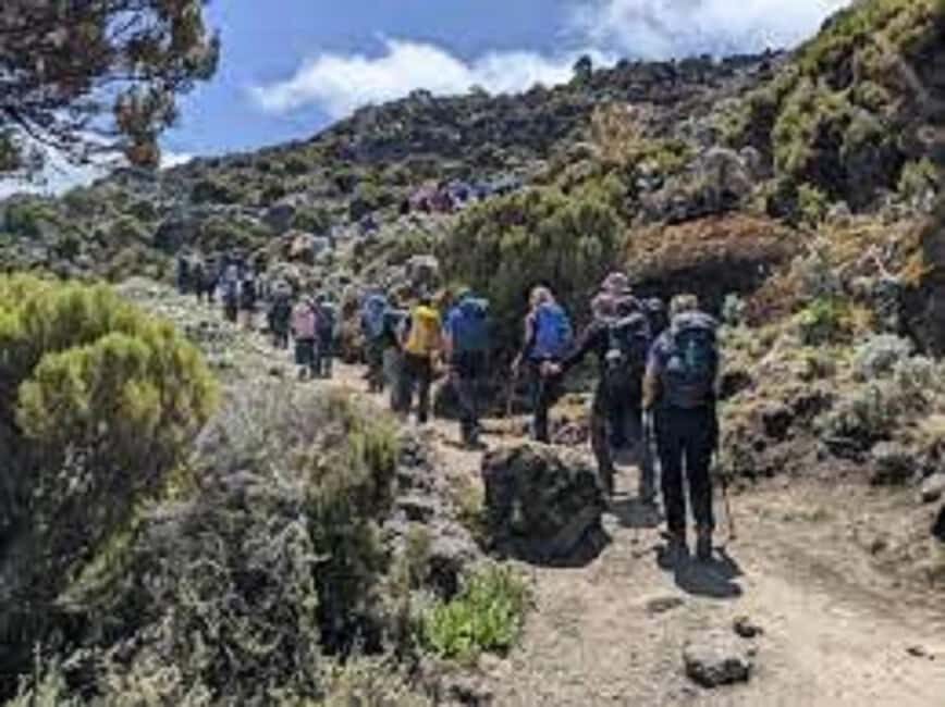 Best Kilimanjaro Day Hike With Car Shira Plateau experience - Pricing, Inclusions, and Additional Costs