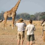 best of Arusha National Park Day Trip with Game Drive - Wildlife Game Drive