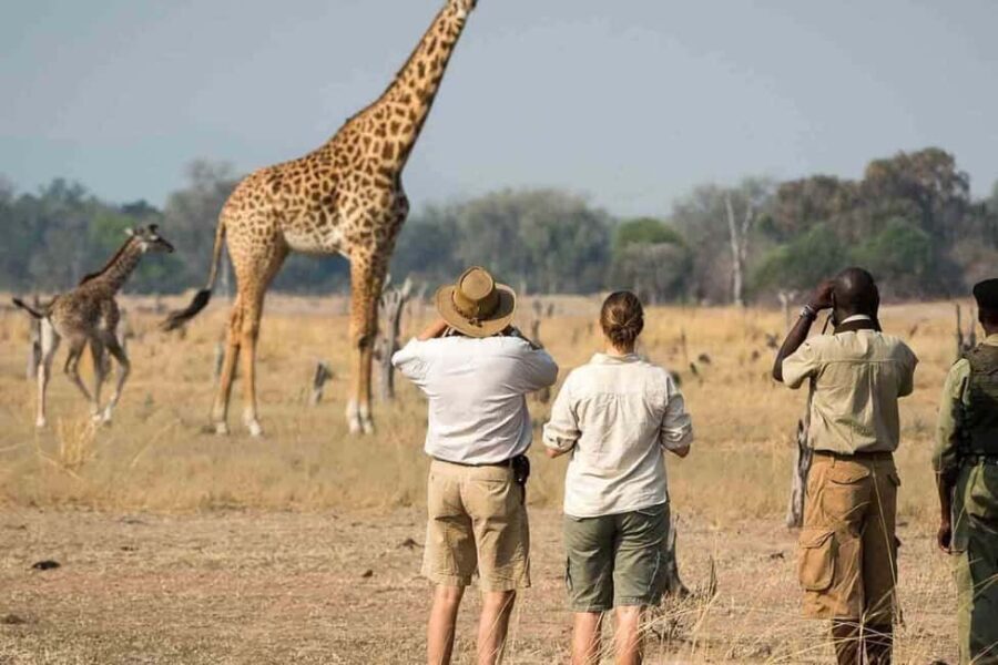 best of Arusha National Park Day Trip with Game Drive - Wildlife Game Drive