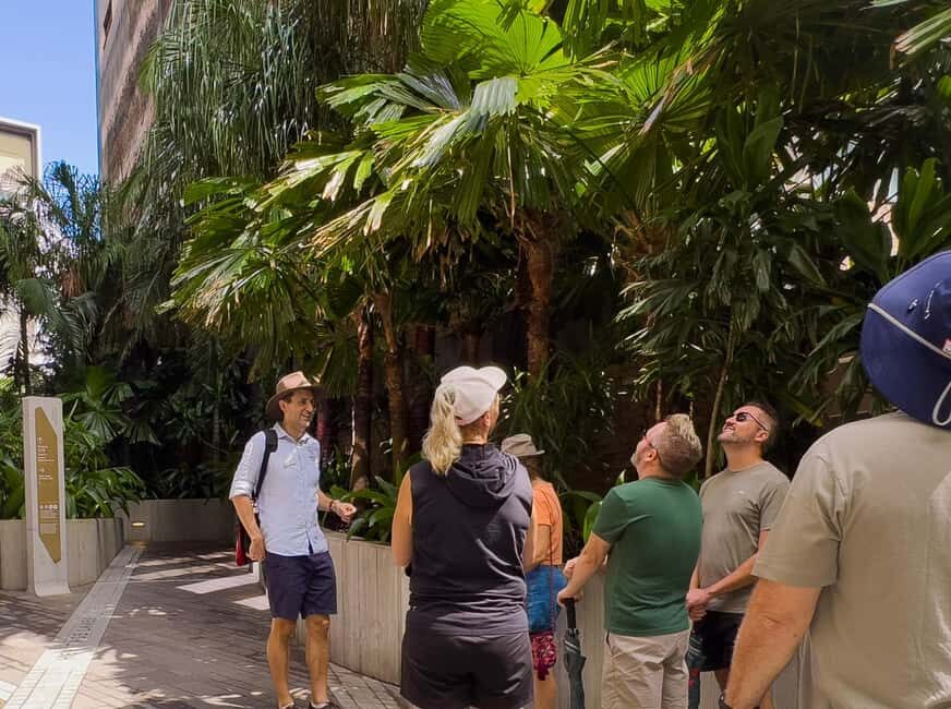 Best of Brisbane Walking Tour | Small Group & snack - Practical Details: Logistics and Value