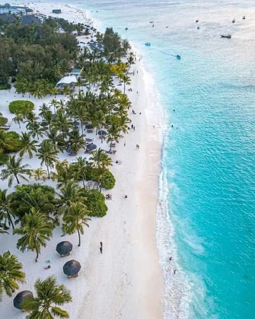 Best of Honeymoon in Zanzibar:From Stone Town to Kizimkazi - Value and Practicality: What to Expect