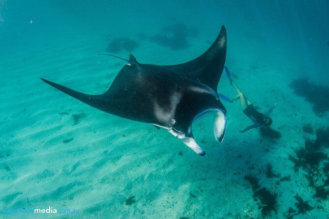Best of Ningaloo Mantas and More - Detailed Itinerary Breakdown