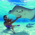 Best Way to Interact with Ocean Wildlife with Lunch. 6H - Practical Details and Value