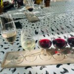 Big 5 Aquila Reserve Safari with Lunch and Tasting - Optional Wine Tasting at Fairview Farm in Paarl