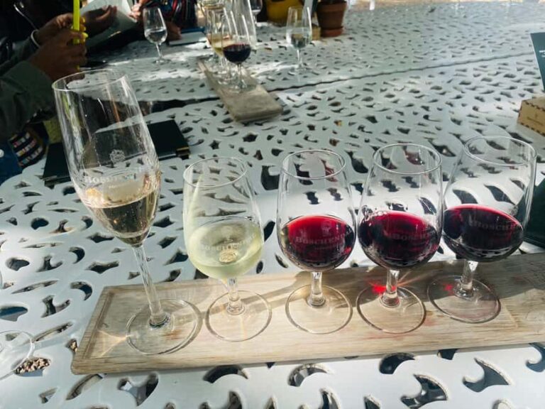 Big 5 Aquila Reserve Safari with Lunch and Tasting - Optional Wine Tasting at Fairview Farm in Paarl