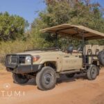 Big 5 Safari Am or Pm - Is the Price Worth It?