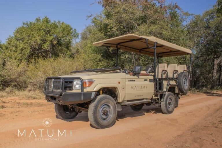 Big 5 Safari Am or Pm - Is the Price Worth It?