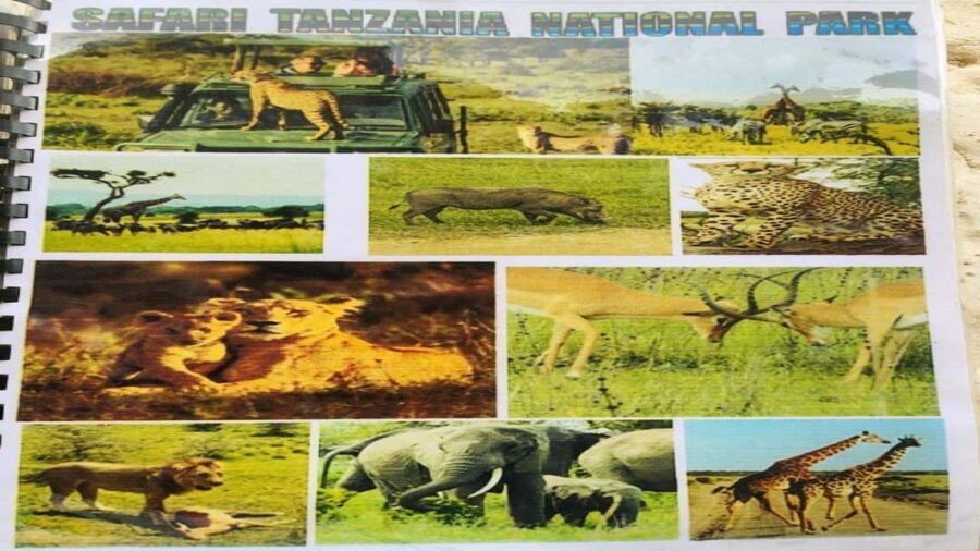 Big Five Safari Tour: Unforgettable wildlife viewing in Tanzania - Exploring the Itinerary: What Makes This Tour Special