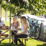 Bike The Wineries (1/2 Day) - Quick Pedal to Pinot - Who Should Consider This Tour?