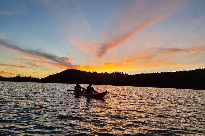 Bioluminescence Kayak Tour - Est. 1994 - Who Will Love This Tour?