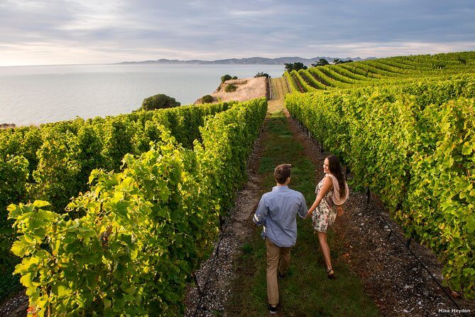 Blenheim Half day Wine Tour - Transportation, Group Size, and Comfort