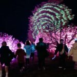 Blossom by Light at CherryHill - The Orchard and Its Unique Atmosphere