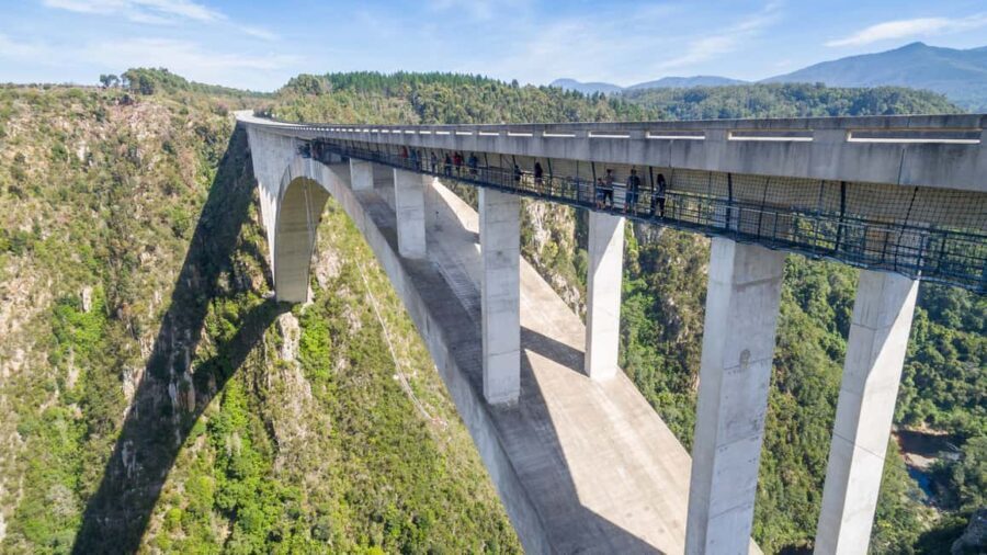 Bloukrans Bridge: Zipline, Hangout, and SkyWalk Adventure - Practical Details