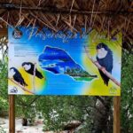 BLUE LAGOON | eco-tour | private island inside | White sand - The Sum Up