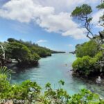 Blue Lagoon Express Bus - Who Will Love This Tour?