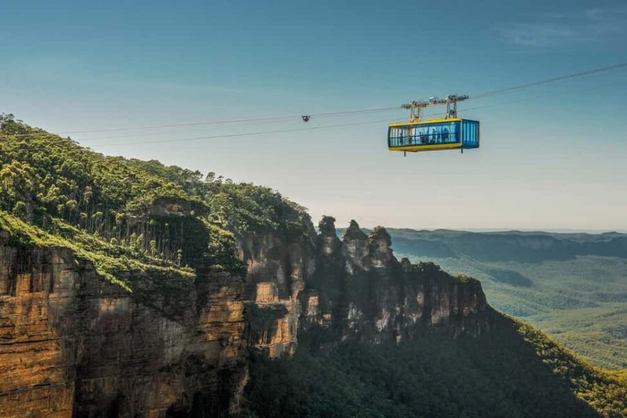 Blue Mountain: Small-Group Tour with Lunch & Scenic World - Transport and Group Size: Why They Matter