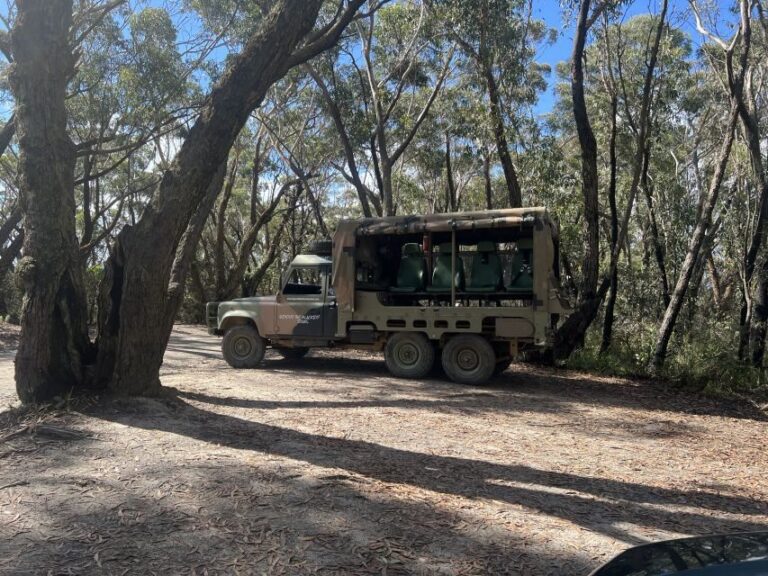 Blue Mountains 3 Hour Army Truck Adventures - Exploring the Blue Mountains in a Military Land Rover