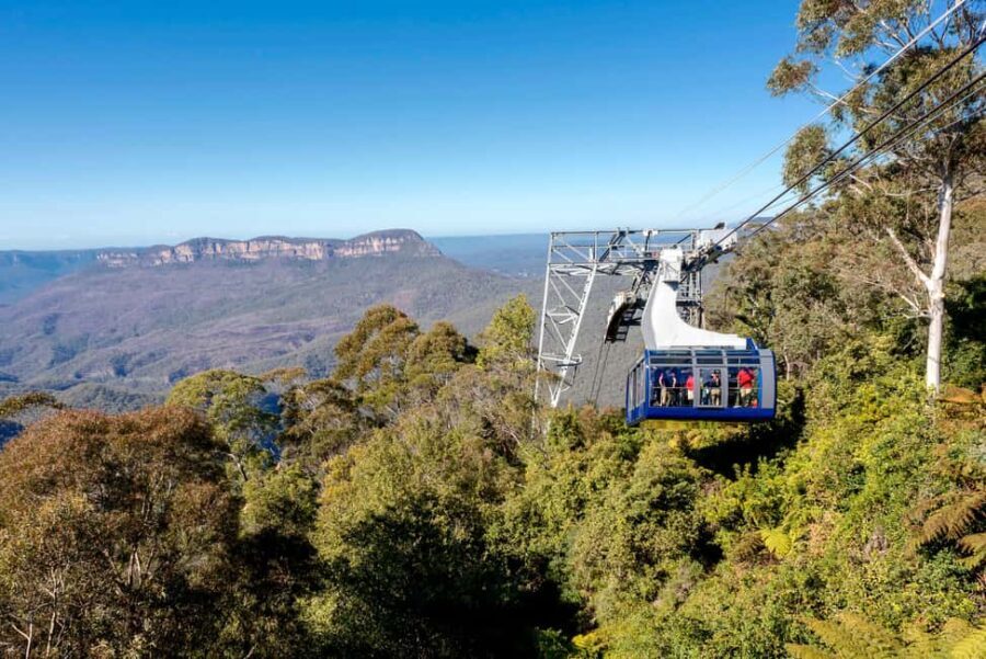 Blue Mountains Adventure: Scenic World, Zoo & Koala Photo - Who Should Consider This Tour?