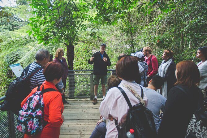 Blue Mountains Day Tour with Wildlife, Walks and Scenic World - Who Will Love This Tour?