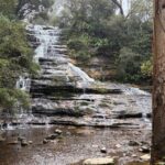 Blue Mountains Day Tours W Scenic World and Lunch - Transportation and Overall Value