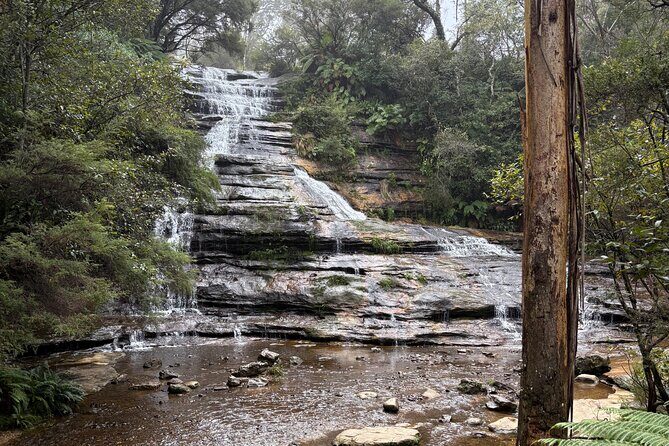 Blue Mountains Day Tours W Scenic World and Lunch - Transportation and Overall Value