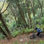 Blue Mountains Electric Bike Tour with Transport - Practical Bits and Considerations