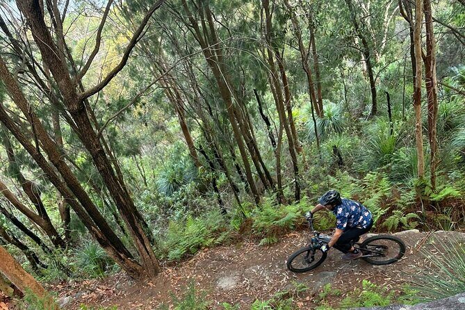 Blue Mountains Electric Bike Tour with Transport - Practical Bits and Considerations