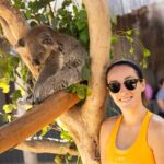 Blue Mountains Express includes Three Sisters Hiking Option - Why This Tour Offers Great Value