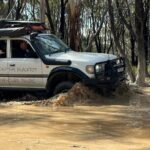 Blue Mountains Full Day Guided Tour - Who Should Consider This Tour?