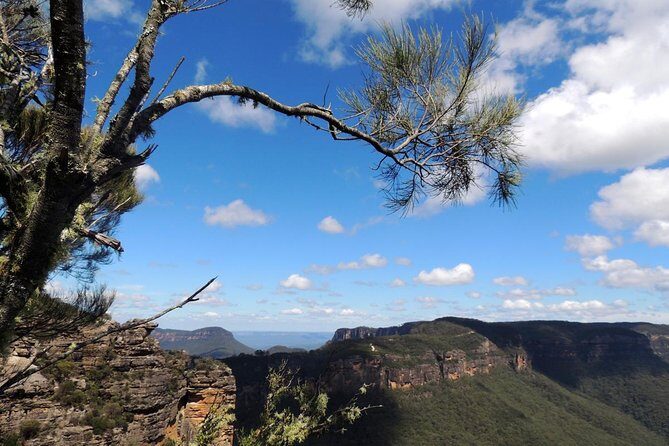 Blue Mountains Small-Group Insider Tour from Sydney - A Full Breakdown of What the Tour Offers