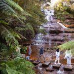Blue Mountains Sunset Tour with Kangaroo Sightings from Sydney - Deep Dive into the Experience