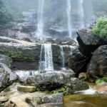 Blue Mountains: Sunset Waterfalls Wildlife Tour From Sydney - What Makes This Tour Stand Out?