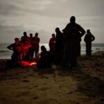Boa Vista: 3h Turtle Watching Expedition - An In-Depth Look at the Boa Vista Turtle Watching Tour