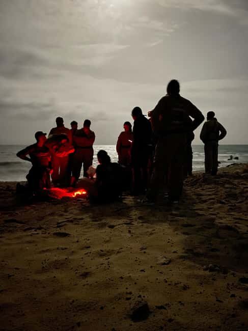 Boa Vista: 3h Turtle Watching Expedition - An In-Depth Look at the Boa Vista Turtle Watching Tour