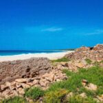 Boa Vista Full Day 4x4 Island Tour with Beachfront Lunch - Visiting the Iconic Shipwreck on Santa Maria Beach